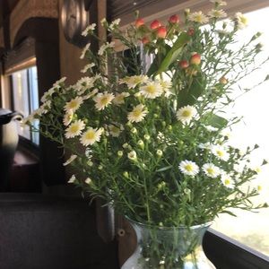 Meet your Posher, Nora